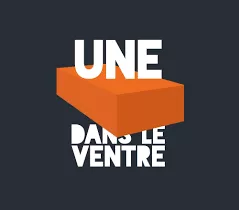 Une brique dans le ventre